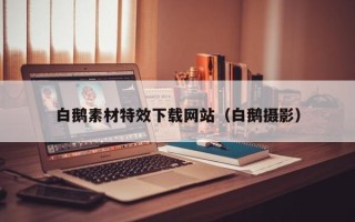 宜城白鹅素材特效下载网站（白鹅摄影）